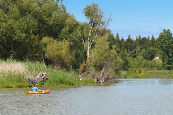 Kayaking Ausable River - Port Franks Getaway, Ontario, Canada